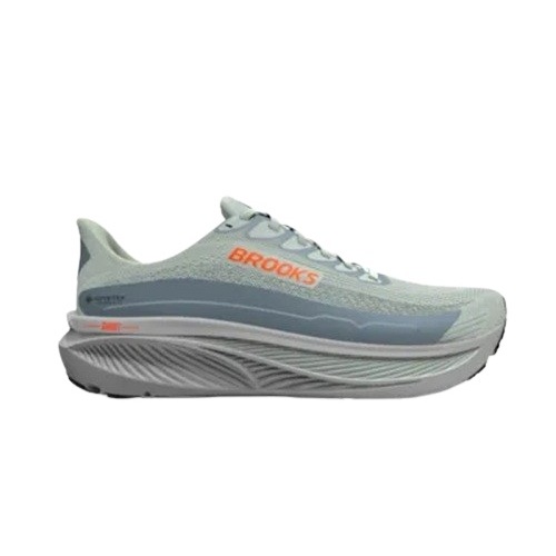 Brooks Ghost 17 GTX Herren (wasserdicht)