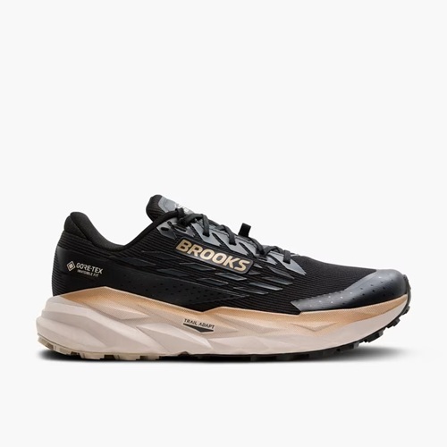 Brooks Cascadia 19 GTX Herren (wasserdicht)